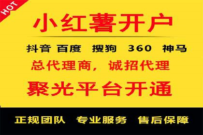 行业领先的SEM竞价广告投放案例